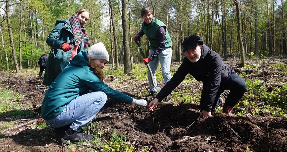 Grupka ludzi sadzących drzewa
