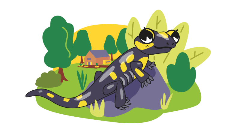Salamandra plamista na pniu